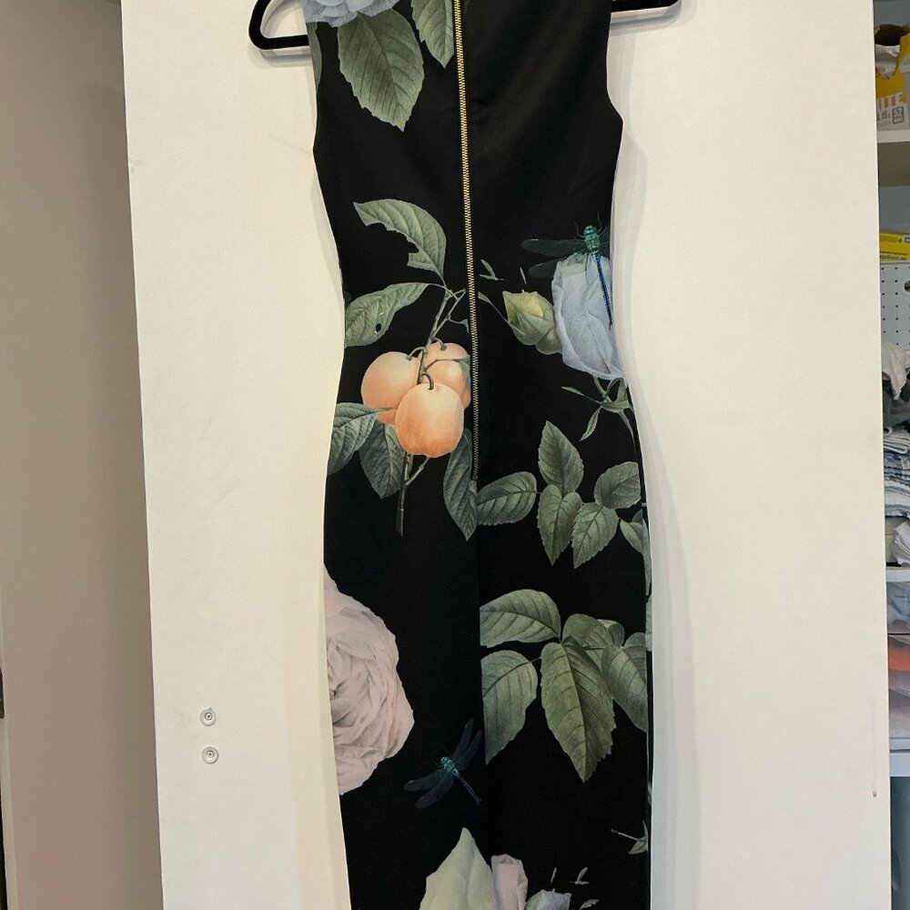 Ted Baker Size 0 Entangled Enchantment Floral & Butterfly Midi Dress - Picture 5 of 5
